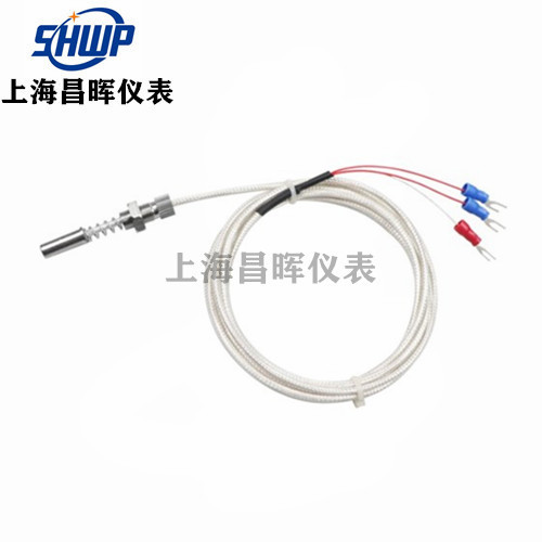 軸承鉑熱電阻傳感器 軸承測(cè)溫Pt100溫度傳感器 WZPM-201