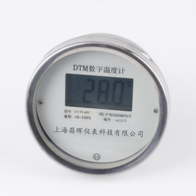 DTM-481數(shù)顯溫度計